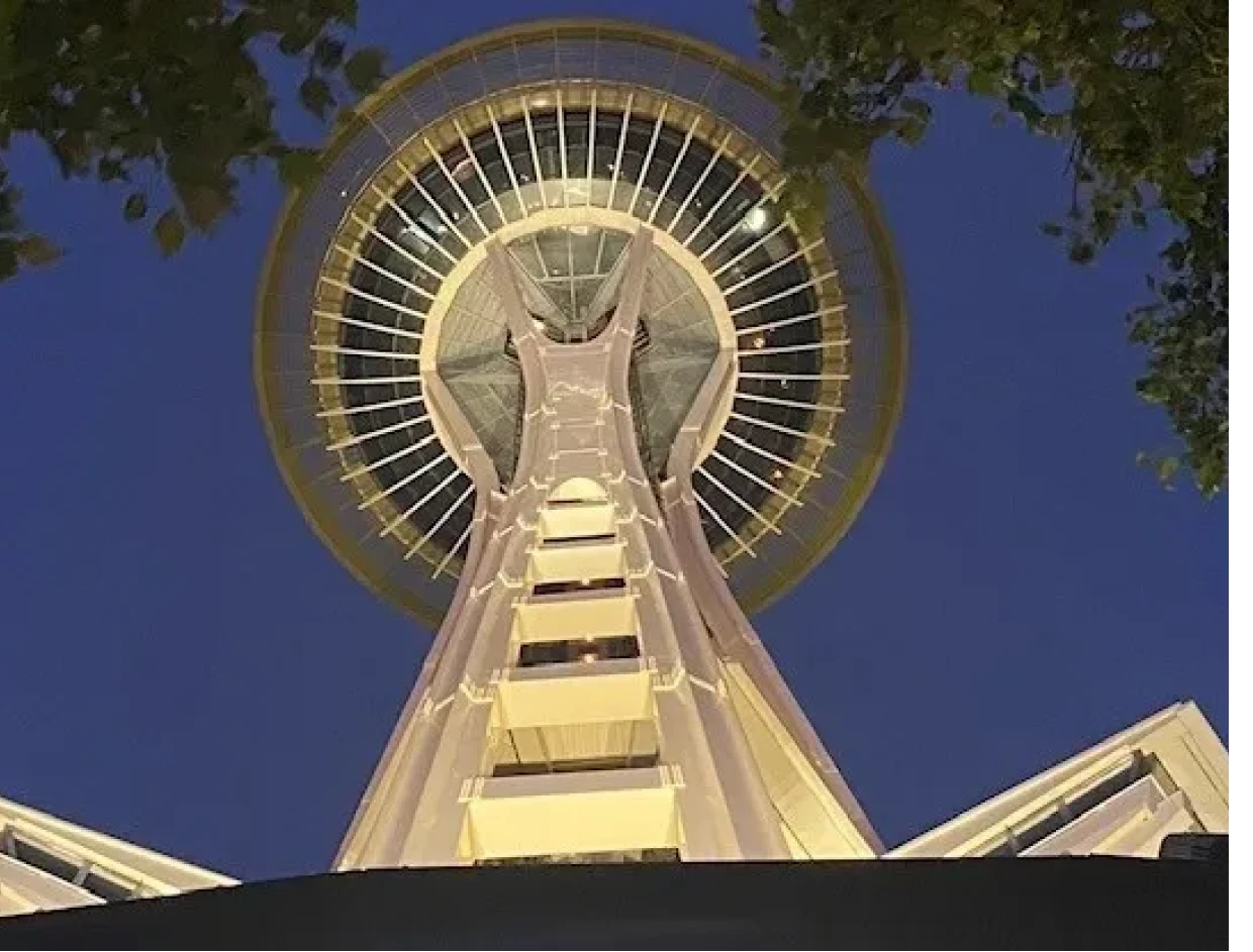 Space Needle lit up at night